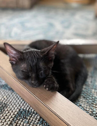 Jack - living his best life! Jack - living his best life!